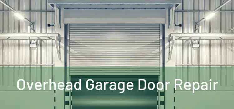  Overhead Garage Door Repair 
